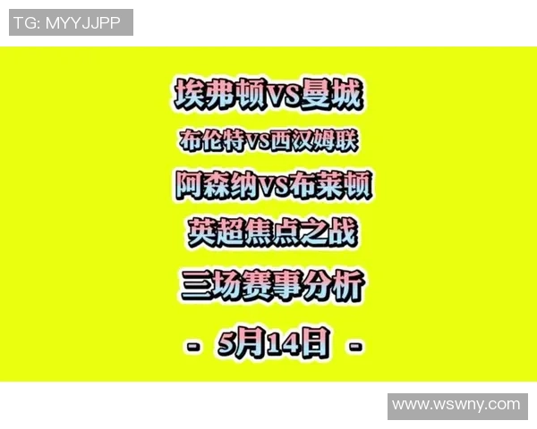 埃弗顿与西汉姆联比赛数据分析全面解读与统计分析报告