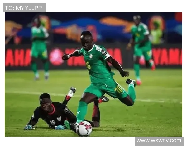 非洲杯B组激战尼日利亚对阵几内亚争夺小组出线权